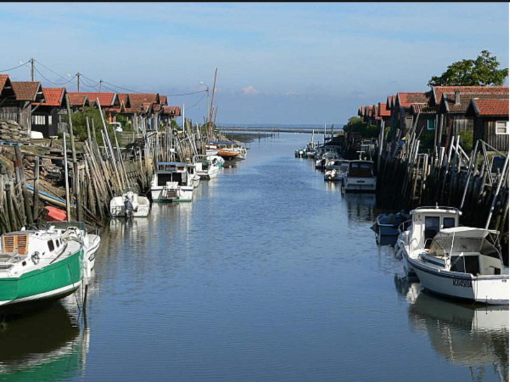 Hotel Particulier - Les Lodges Du Bassin D'Arcachon- Petit-Dejeuner Sur Demande- Prestations Haut De Gamme กูฌ็อง-เมสทราส ภายนอก รูปภาพ