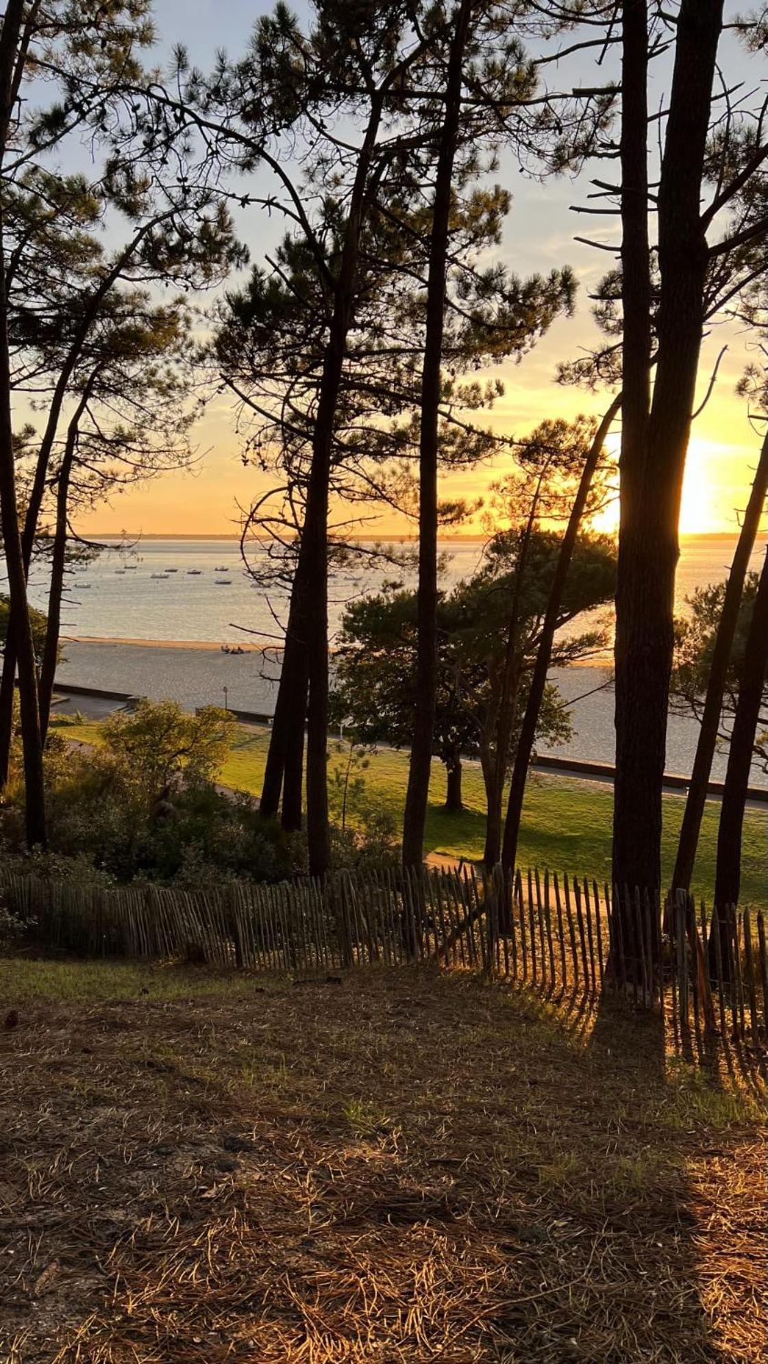 Hotel Particulier - Les Lodges Du Bassin D'Arcachon- Petit-Dejeuner Sur Demande- Prestations Haut De Gamme กูฌ็อง-เมสทราส ภายนอก รูปภาพ
