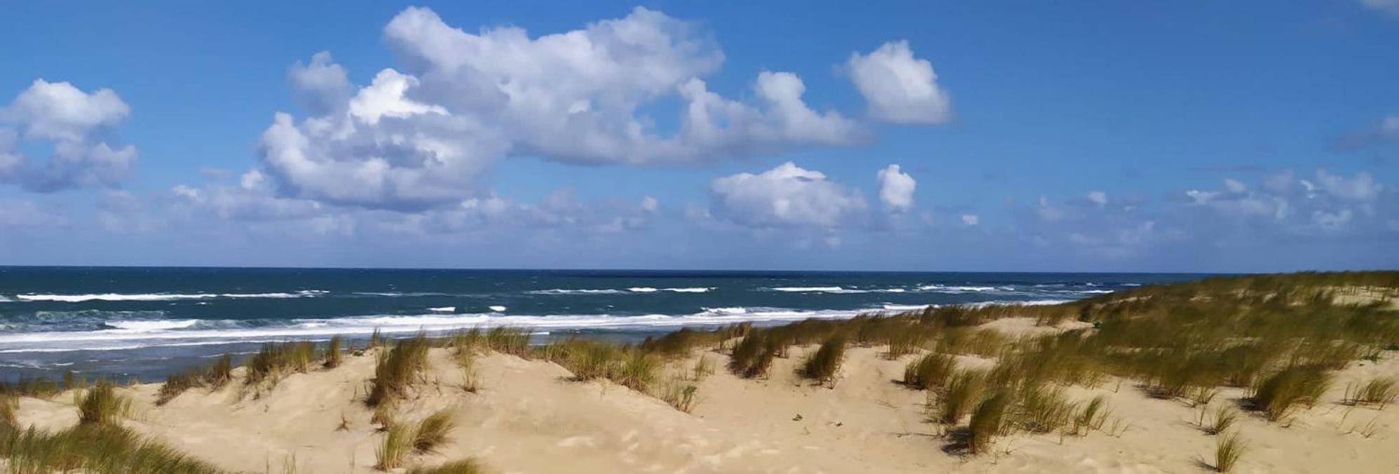 Hotel Particulier - Les Lodges Du Bassin D'Arcachon- Petit-Dejeuner Sur Demande- Prestations Haut De Gamme กูฌ็อง-เมสทราส ภายนอก รูปภาพ